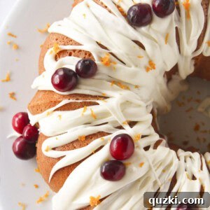 Looking at the top of a cranberry orange bundt cake with frosting.