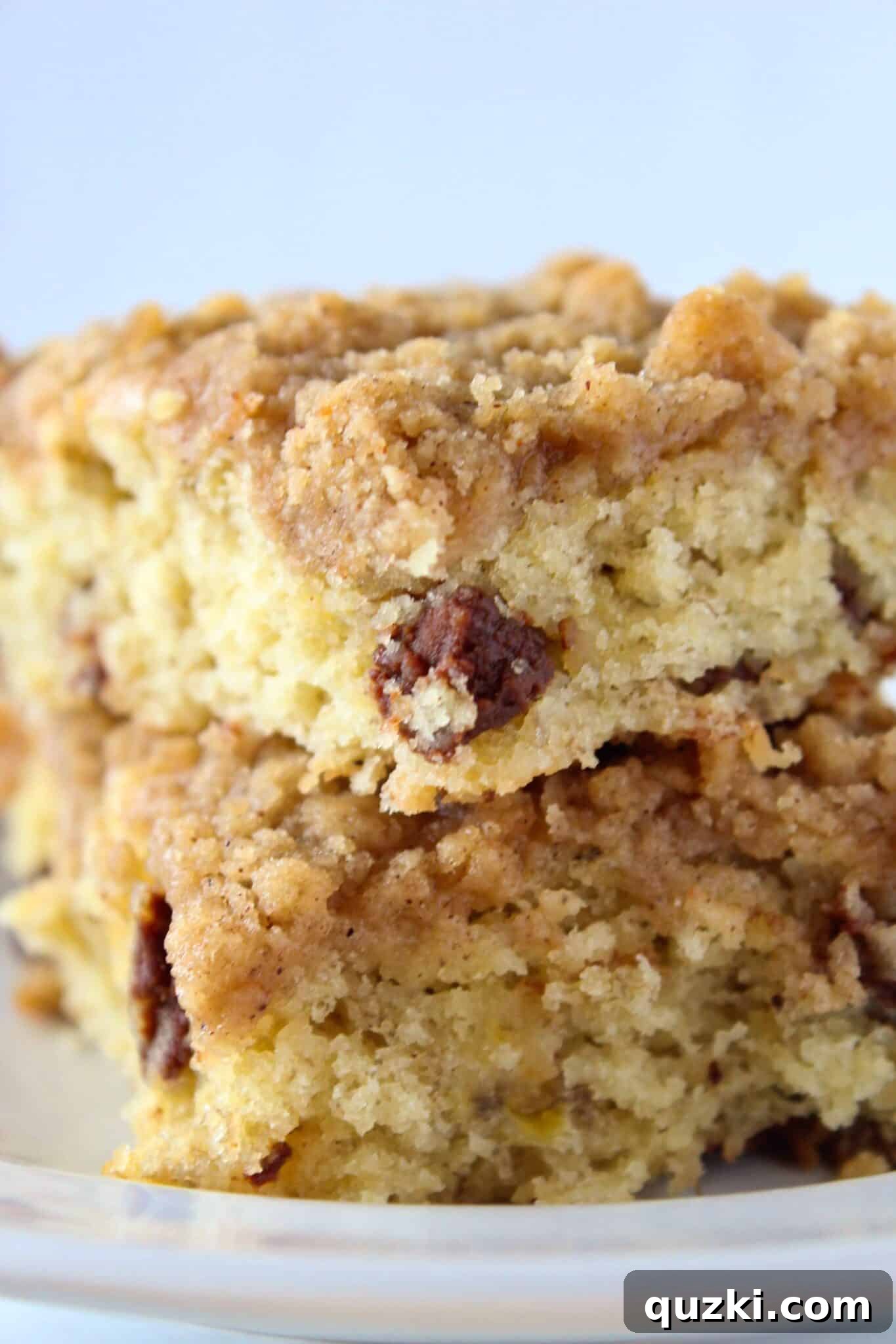 Decadent Banana Chocolate Chip Crumb Cake 11 Another view of the delicious Banana Chocolate Chip Crumb Cake, ready to be enjoyed