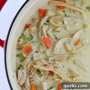 Creamy Chicken Noodle Soup