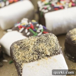 Chocolate dipped marshmallows with various toppings on a tray, a perfect sweet treat.
