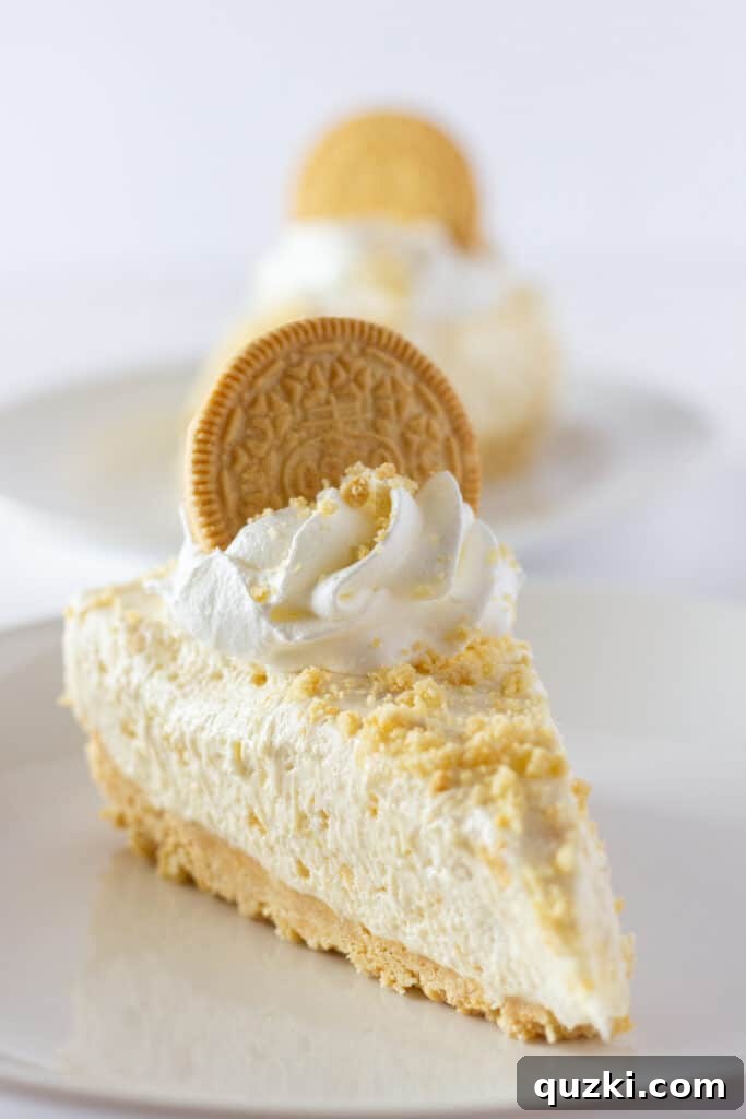 Golden Oreo Dream No-Bake Cheesecake 2 Decadent Golden Oreo No Bake Cheesecake, a top dessert recipe from Practically Homemade