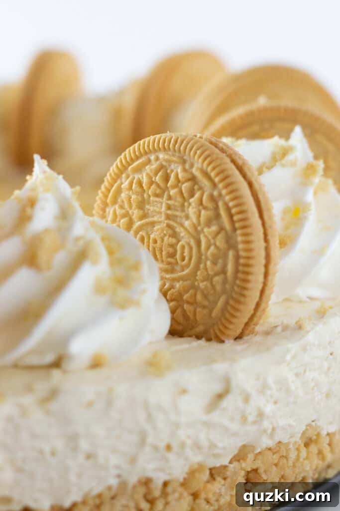 Golden Oreo Dream No-Bake Cheesecake 6 Finished Golden Oreo No Bake Cheesecake, garnished with whipped cream and whole Golden Oreos.