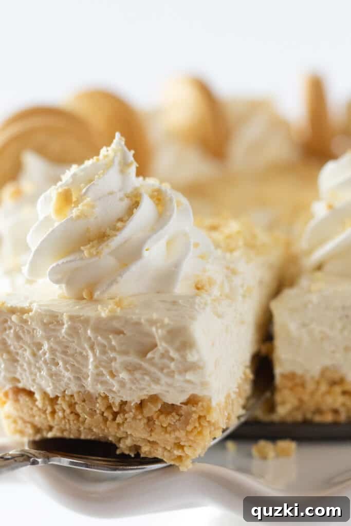 Golden Oreo Dream No-Bake Cheesecake 7 A beautifully presented slice of Golden Oreo No Bake Cheesecake, ready to be enjoyed.