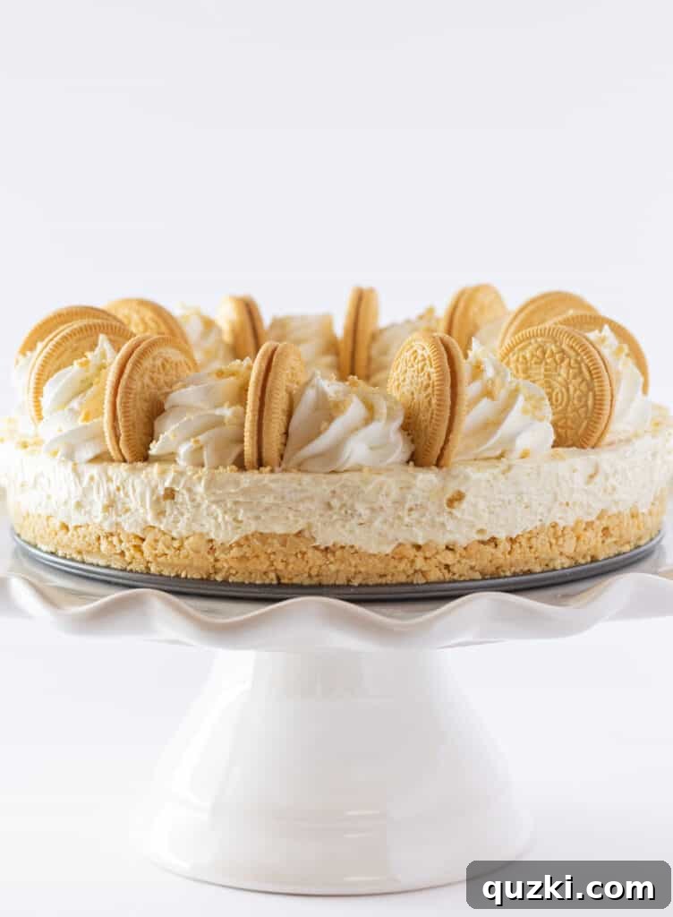 Golden Oreo Dream No-Bake Cheesecake 8 An overhead shot of the full Golden Oreo No Bake Cheesecake, showing its delightful topping.