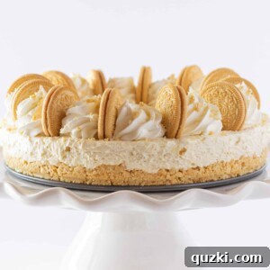 Easy Golden Oreo No Bake Cheesecake
