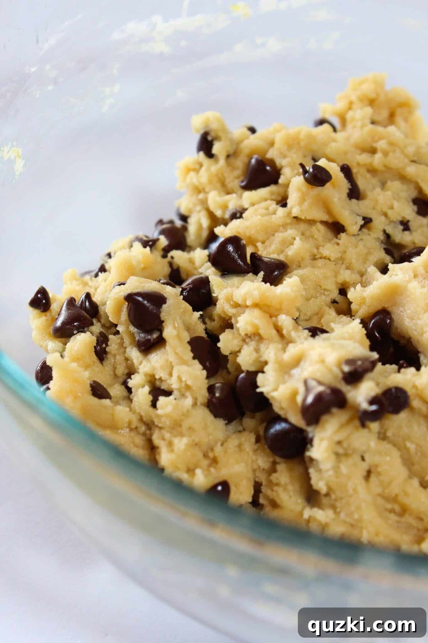Melt-in-Your-Mouth Soft Chocolate Chip Delights 11 Chocolate chips fully mixed into the cookie dough by hand.
