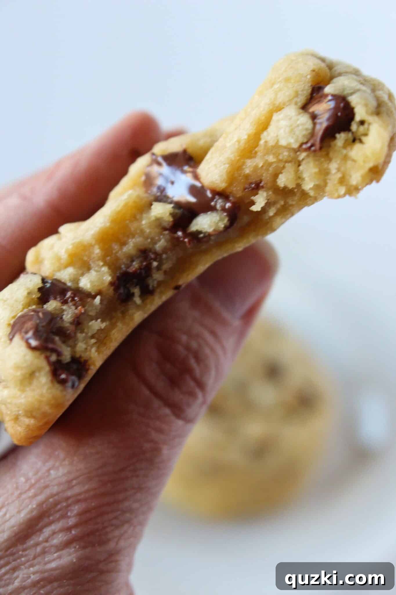 Melt-in-Your-Mouth Soft Chocolate Chip Delights 14 Platter of freshly baked soft and thick homemade chocolate chip cookies.