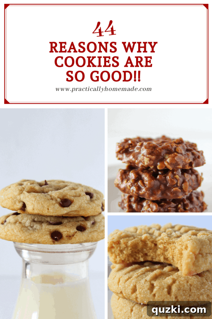 44 Reasons Why Cookies are SO Good, a fun post featured by top US cookie blog, Practically Homemade