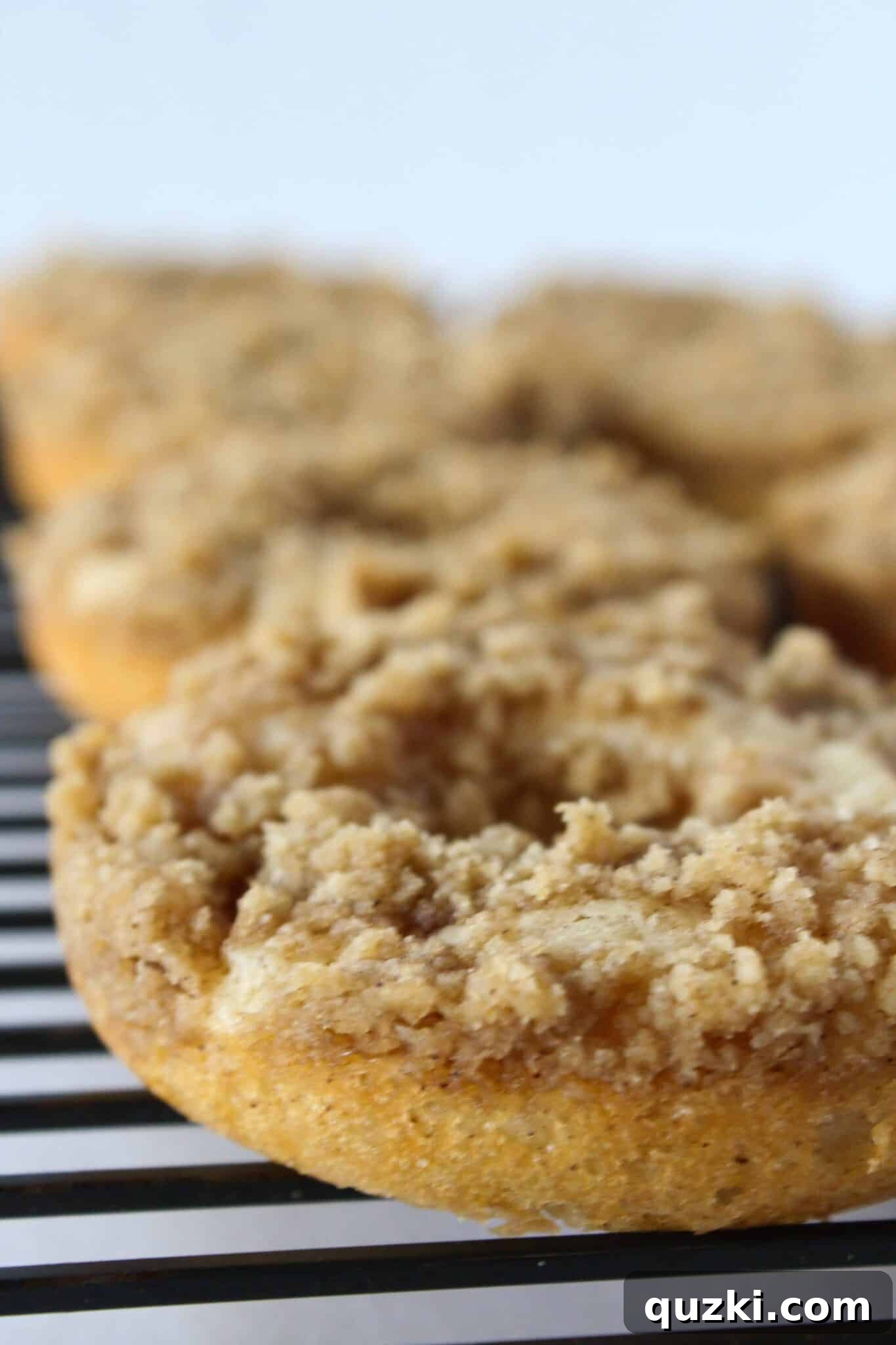 Easy Cinnamon Crumb Donut Recipe Made with a Pancake Mix featured by top US dessert blog, Practically Homemade