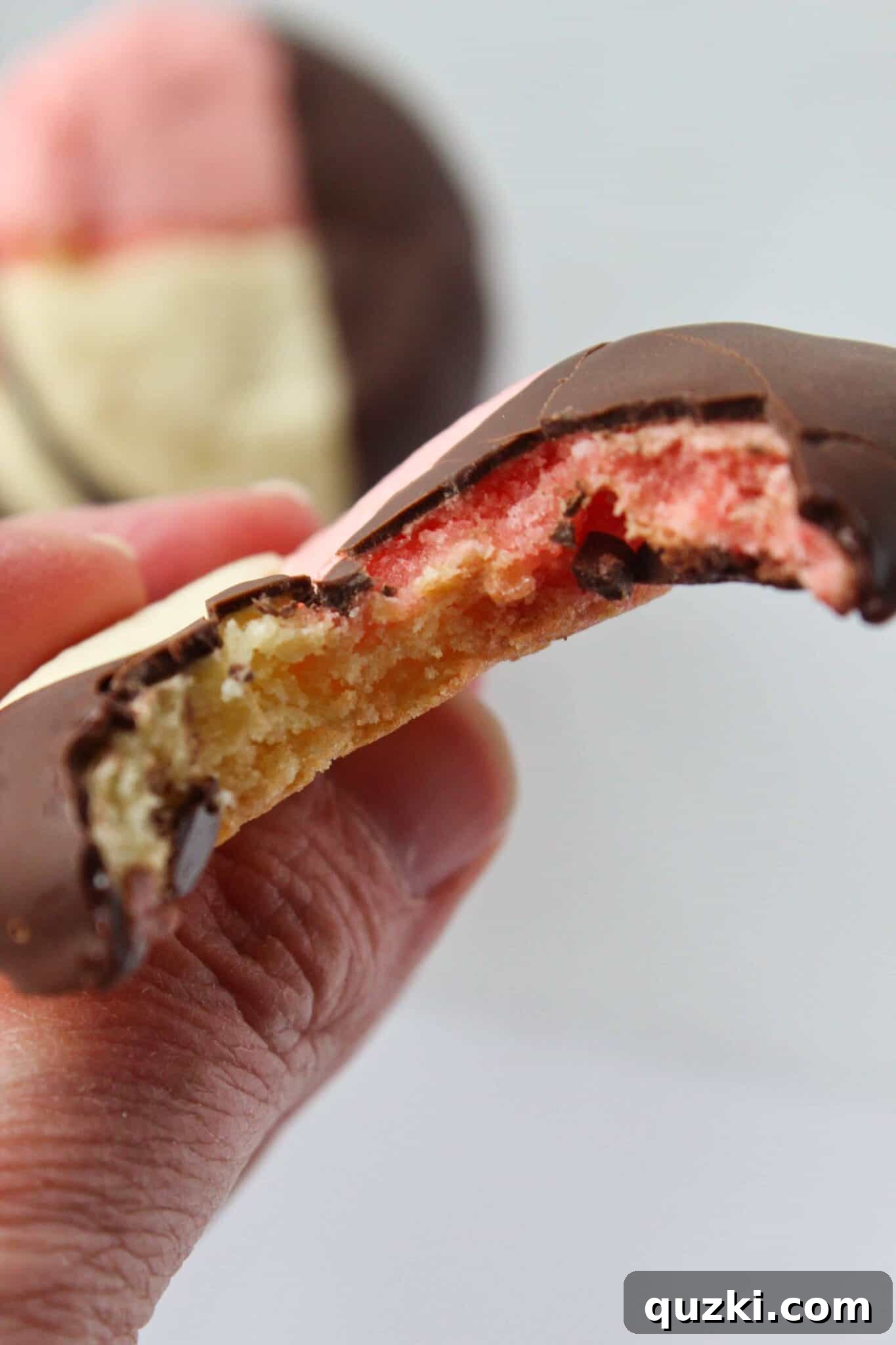 A plate of beautifully arranged, chocolate-dipped Neapolitan Cookies, ready to be served