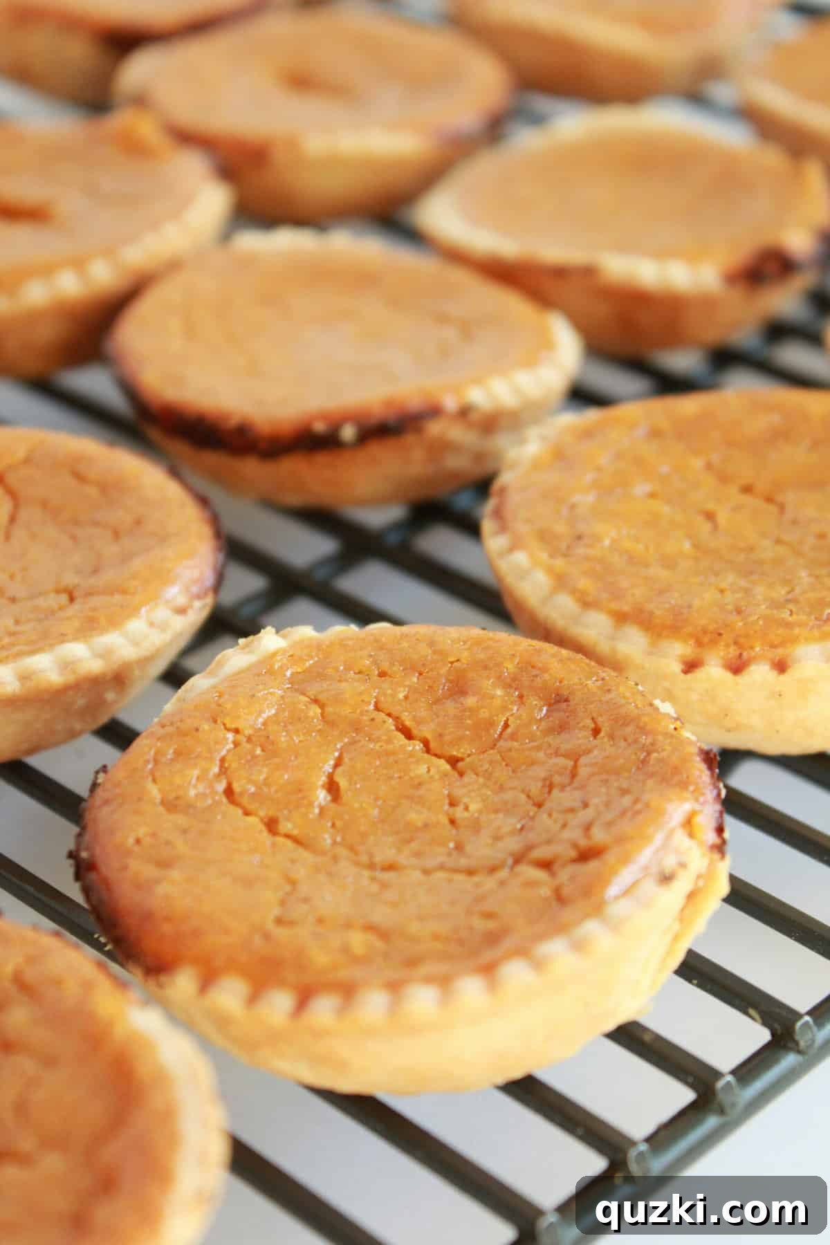 10 Smart Baking Swaps for a Bare Pantry 8 10 Common Baking Substitutes when your Pantry is Running Low featured by top US food blog, Practically Homemade