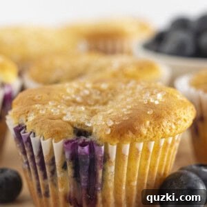 A close-up of blueberry cake mix muffins on a baking tray, ready to be served.