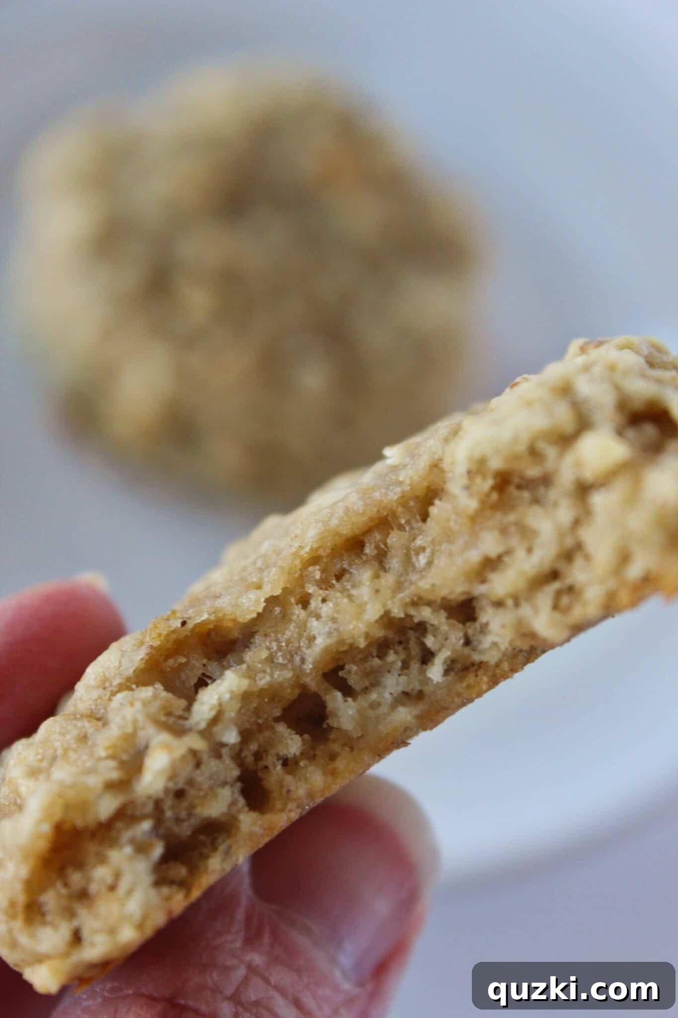 Nutty Brown Butter Banana Oatmeal Cookies 12 A stack of golden brown Brown Butter Banana Oatmeal Cookies, showcasing their soft and chewy texture, ready to be stored or enjoyed. Perfect for a quick homemade snack.