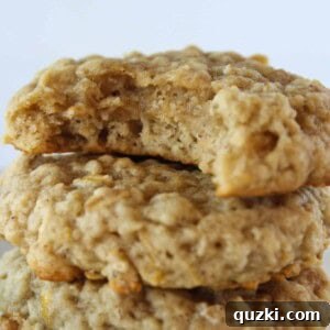 The Best Oatmeal Raisin Banana Cookies