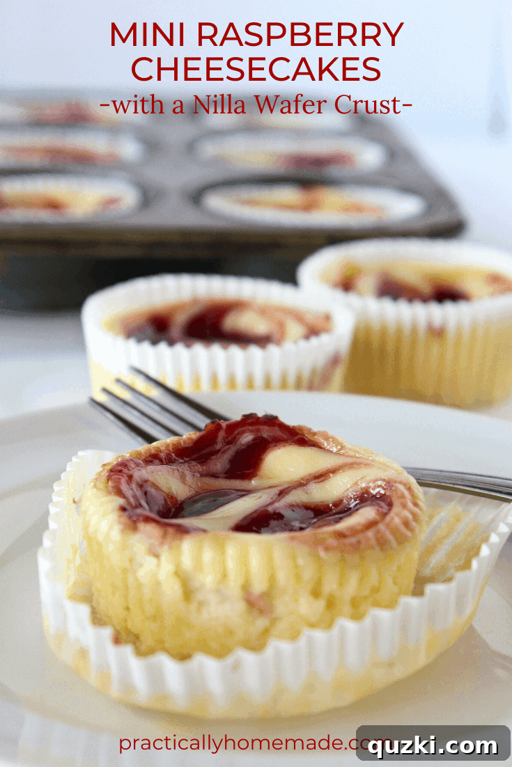 Decadent Mini Raspberry Cheesecake Cups 3 Close-up of a beautifully swirled Mini Raspberry Cheesecake, highlighting the no-bake filling and Golden Oreo crust.