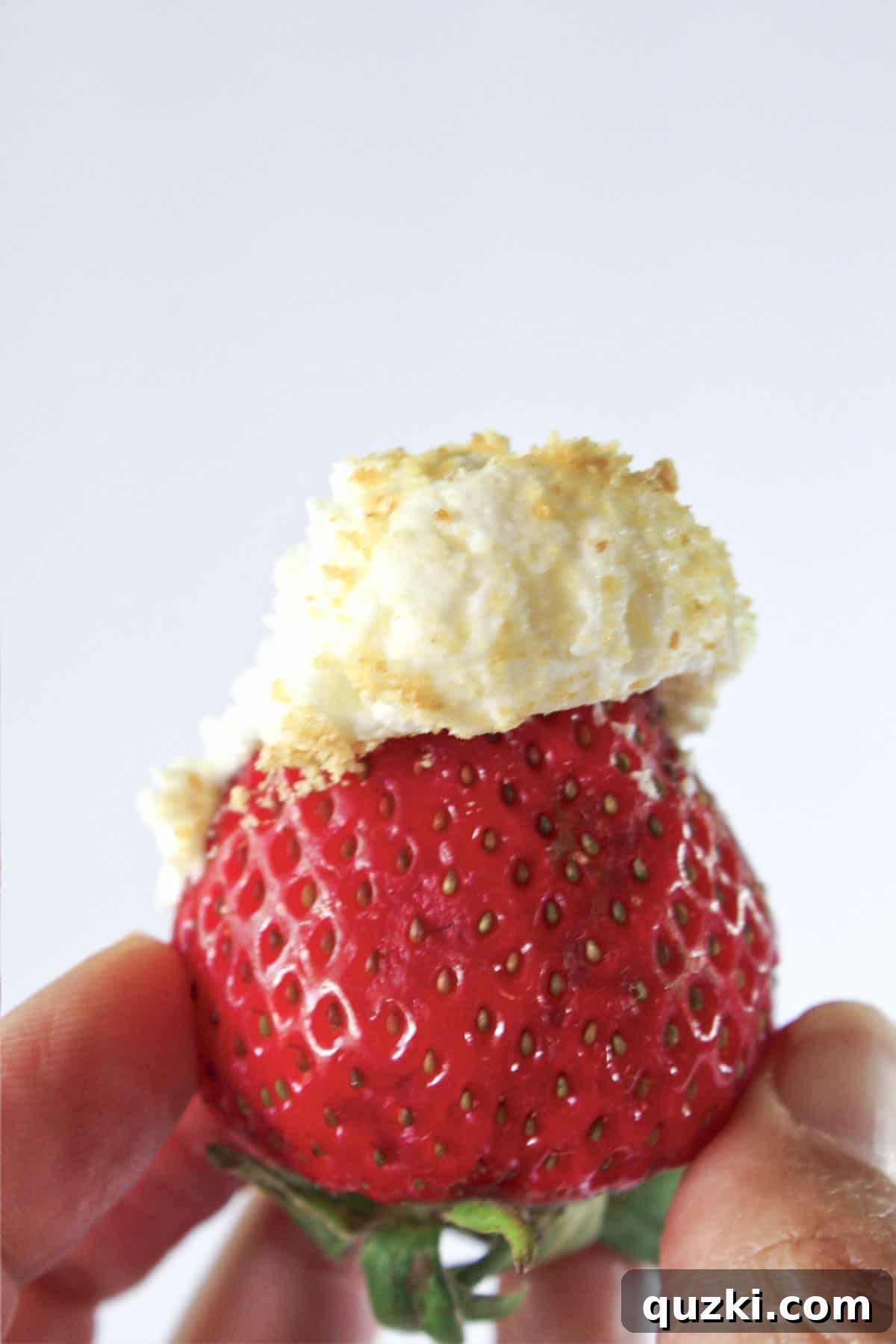 No-Bake Cheesecake Dip for Fruit 5 Cheesecake fruit dip on a fresh strawberry.