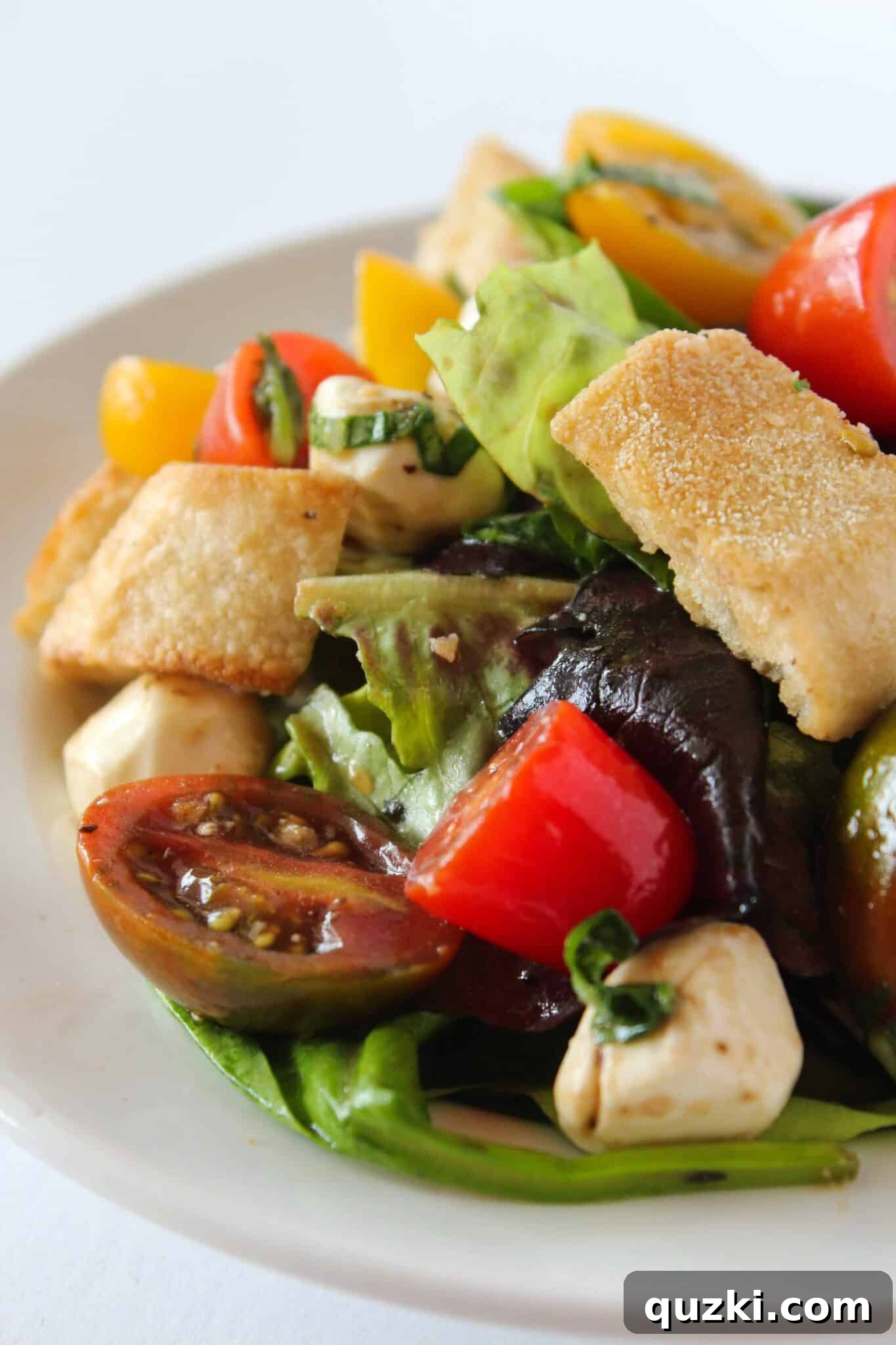 Quick Bruschetta Salad 14 A single serving of Easy Bruschetta Salad artfully presented on a clean white plate, garnished with fresh basil and ready to be enjoyed as a light meal.