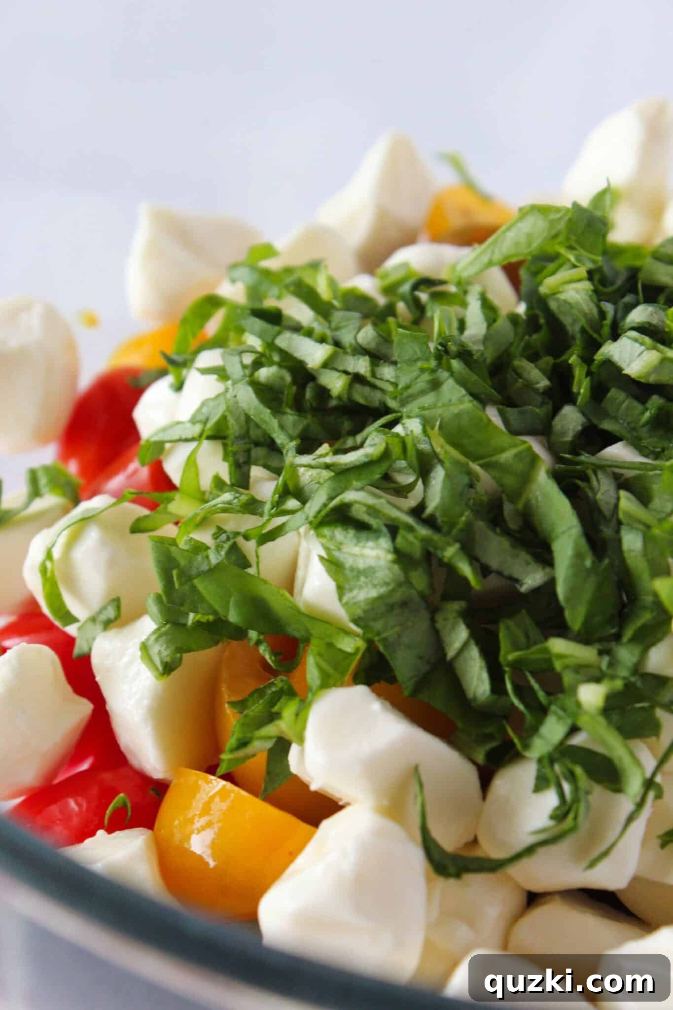 Quick Bruschetta Salad 6 Topping the vibrant tomato and mozzarella mixture with a generous amount of thinly sliced fresh green basil.