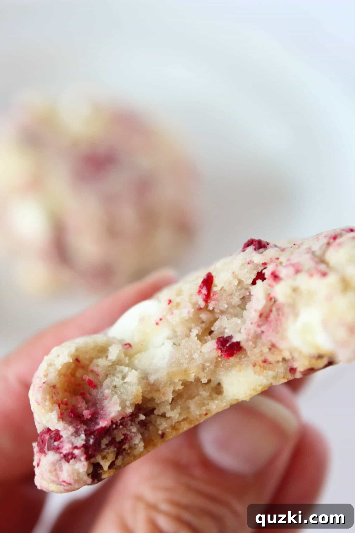 Subway's Iconic Raspberry Cheesecake Cookies Make Them At Home 2 Copycat Subway Raspberry Cheesecake Cookies Recipe featured by top US cookies blogger, Practically Homemade. Delicious, soft, and chewy cookies bursting with raspberry and white chocolate flavor.