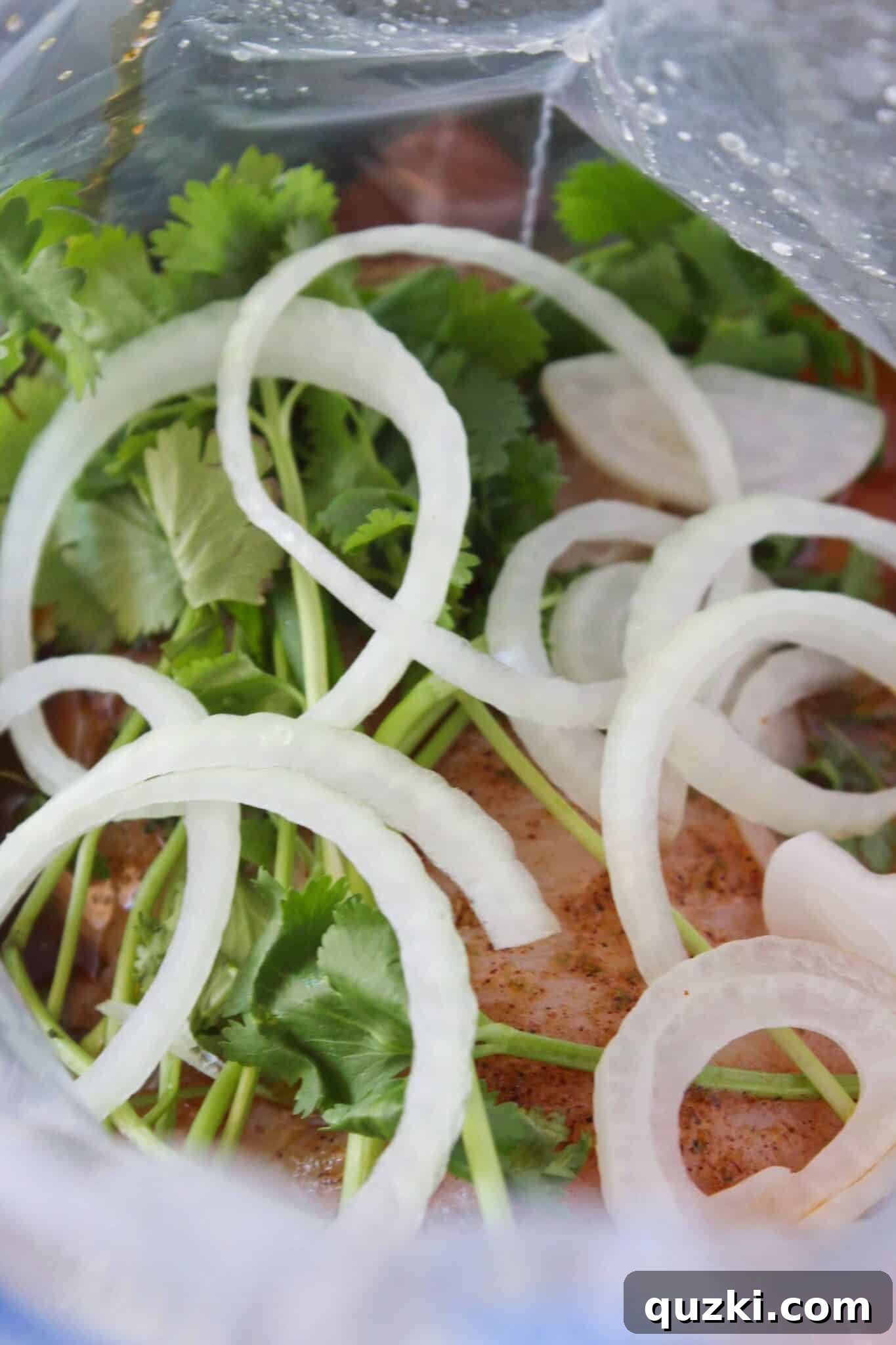 Simple Marinade for Succulent Chicken 7 Fresh onion slices and cilantro sprigs being added to the chicken and marinade in a zipper bag.