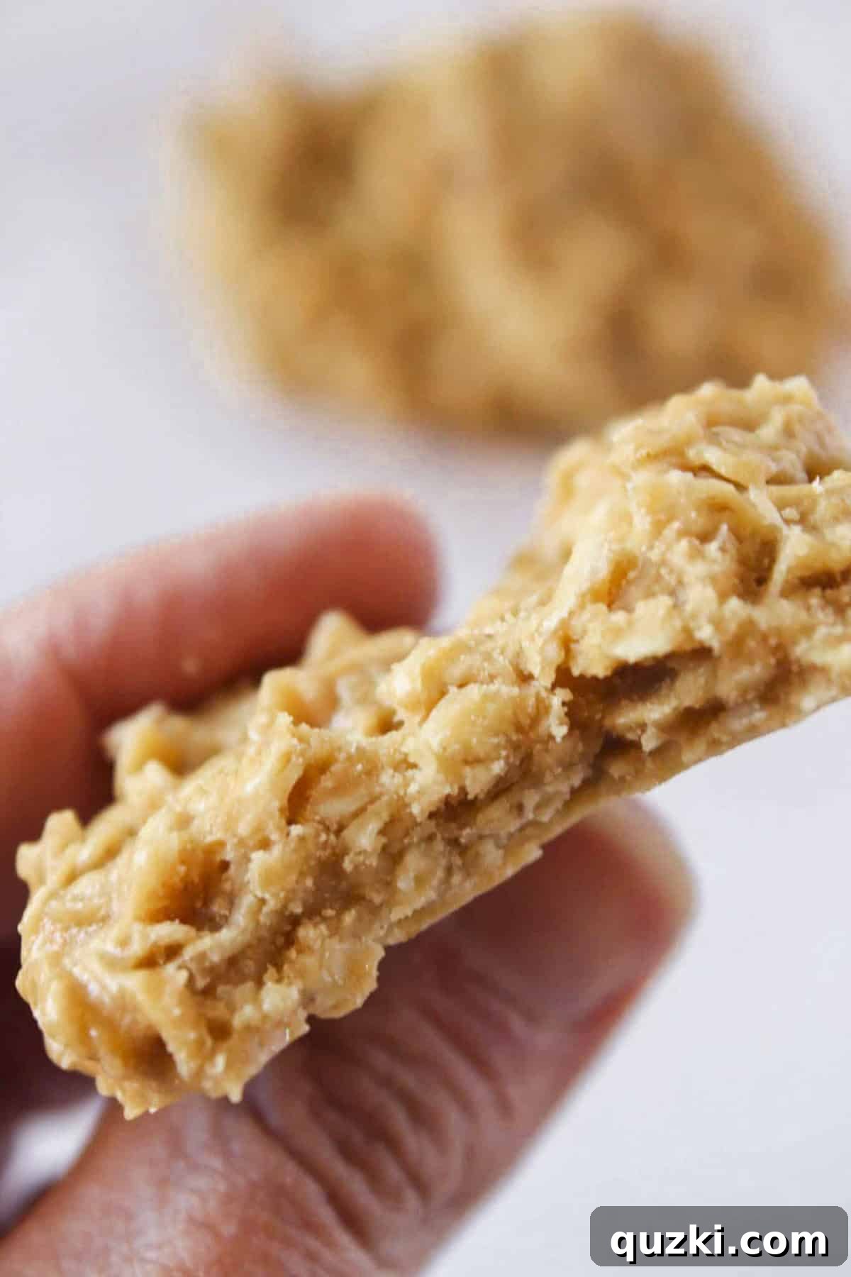 Trader Joe's No-Bake Cookie Butter Delights 5 A hand taking a bite out of a perfectly textured cookie butter no-bake cookie.