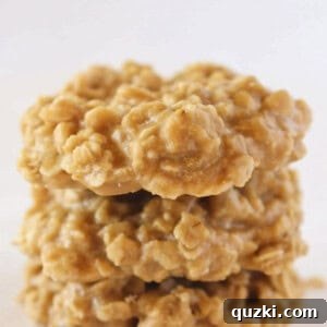 Three Trader Joe's cookie butter no-bake cookies stacked on each other.