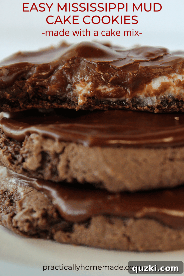 Homemade Mississippi Mud Cookies, a top US cookie blogger's favorite cake mix recipe