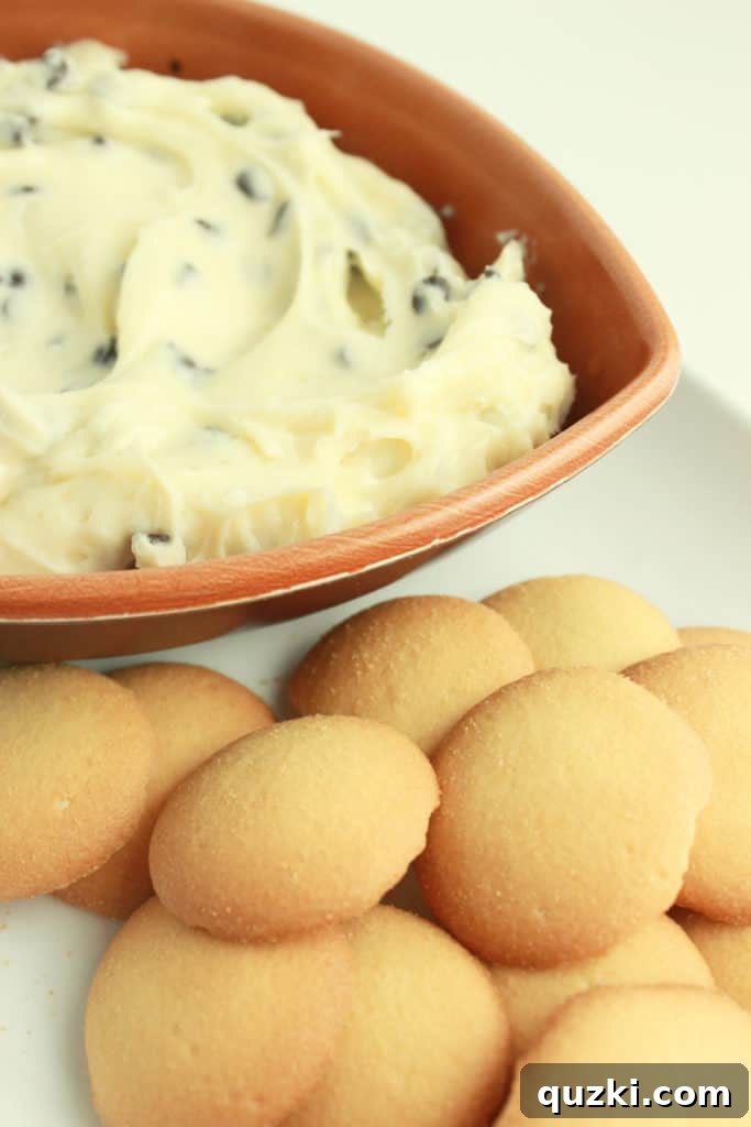 Irresistible Cookie Dough Delight 3 Chocolate Chip Cookie Dough Dip served in a round bowl with a variety of dippers for a weekend gathering