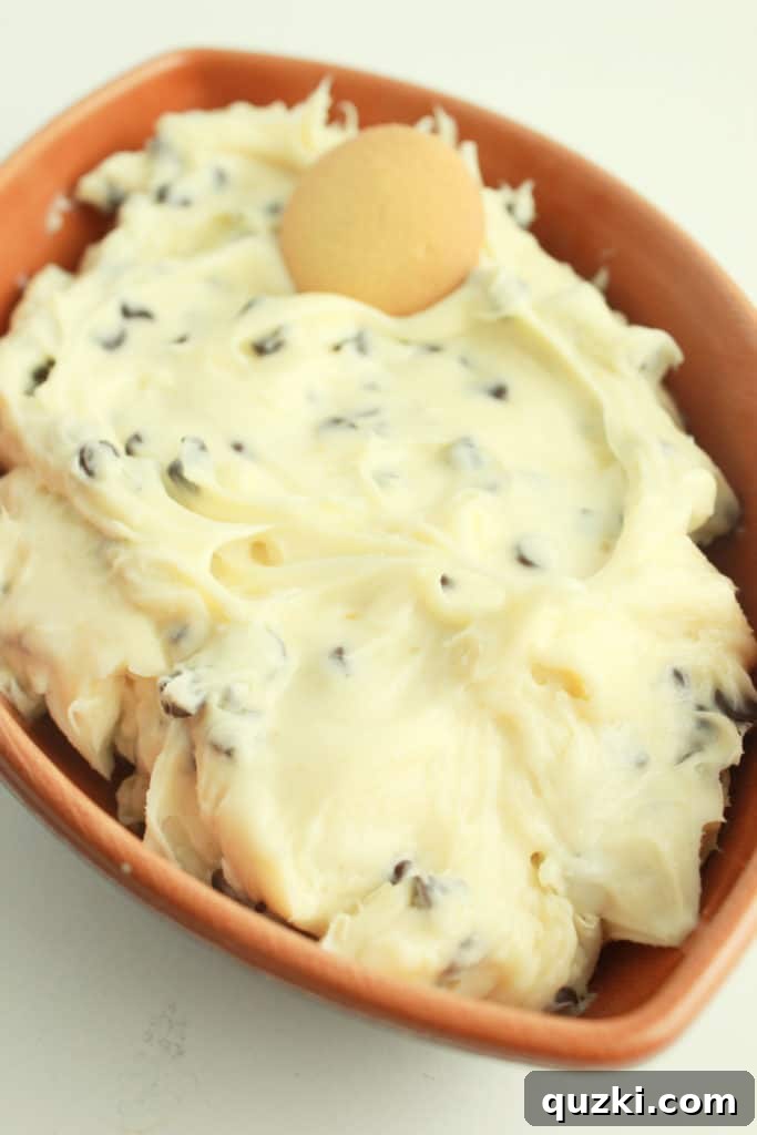 Irresistible Cookie Dough Delight 6 Chocolate Chip Cookie Dough Dip with graham crackers for dipping