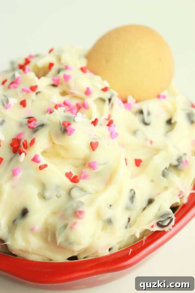 Irresistible Cookie Dough Delight 7 A closer view of the Chocolate Chip Cookie Dough Dip ready to be enjoyed