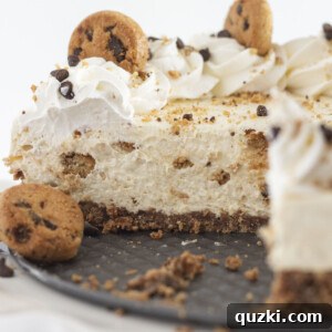 Looking inside a chocolate chip cookie cheesecake once a few pieces are removed, revealing layers of creamy filling and cookie crust.