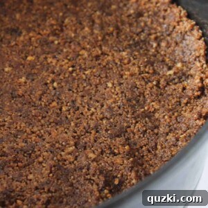 Chocolate Chip Cookie Cheesecake Crust Recipe featured by top US dessert blogger, Practically Homemade