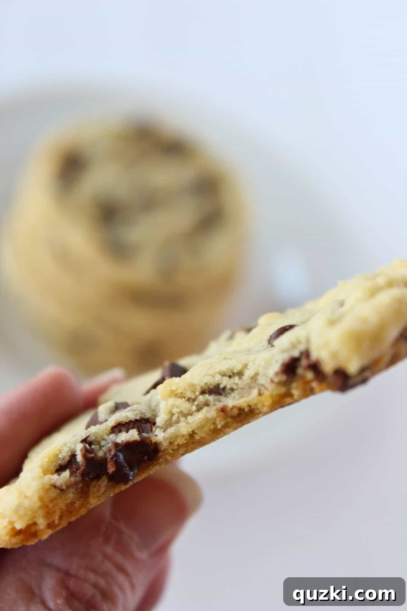 Go-To Everyday Chocolate Chip Cookies 2 Everyday Chocolate Chip Cookies recipe featured by top US food blogger, Practically Homemade
