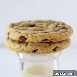Go-To Everyday Chocolate Chip Cookies 12 Everyday Chocolate Chip Cookies recipe featured by top US food blogger, Practically Homemade