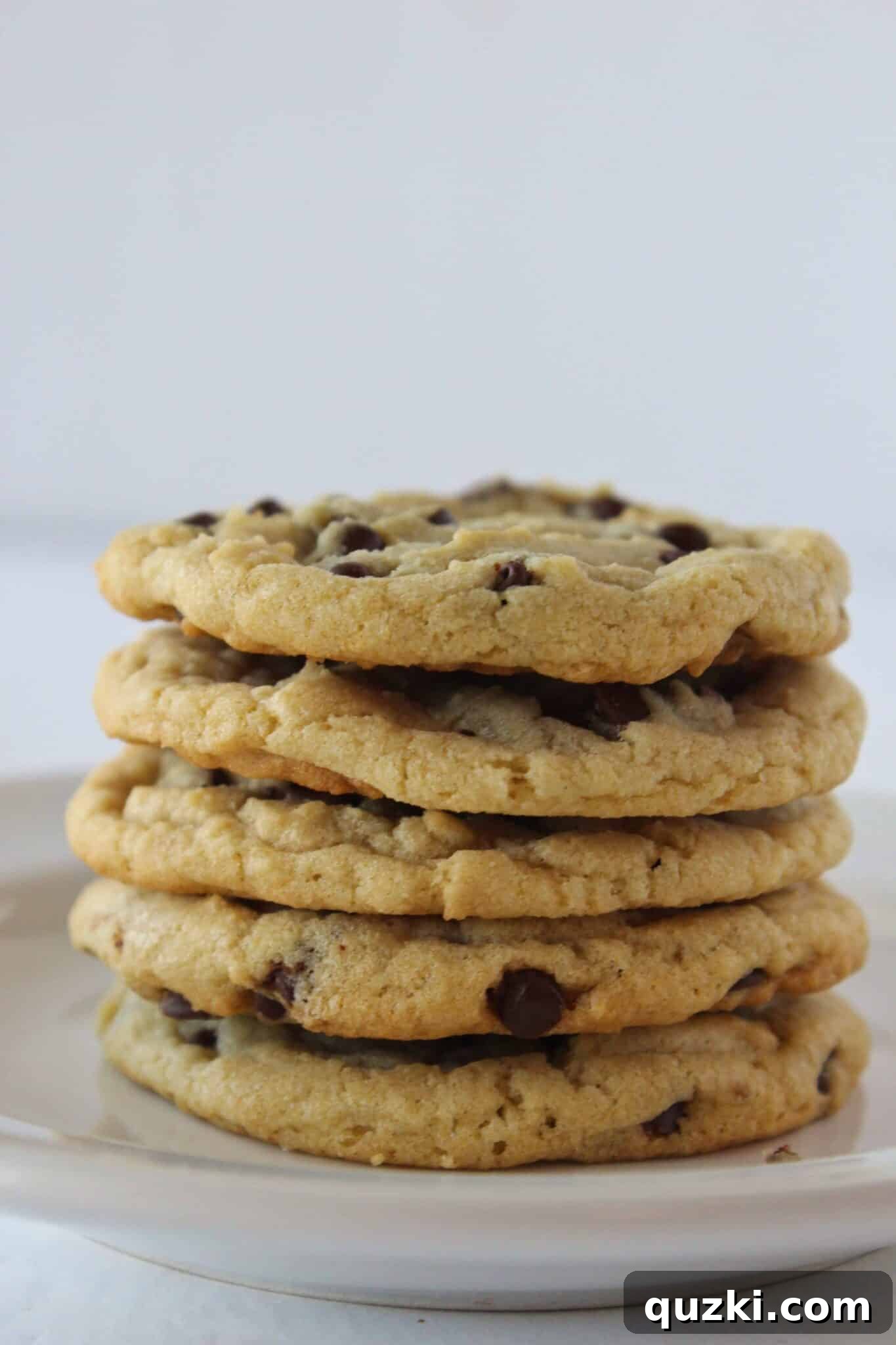 Go-To Everyday Chocolate Chip Cookies 10 Everyday Chocolate Chip Cookies recipe featured by top US food blogger, Practically Homemade