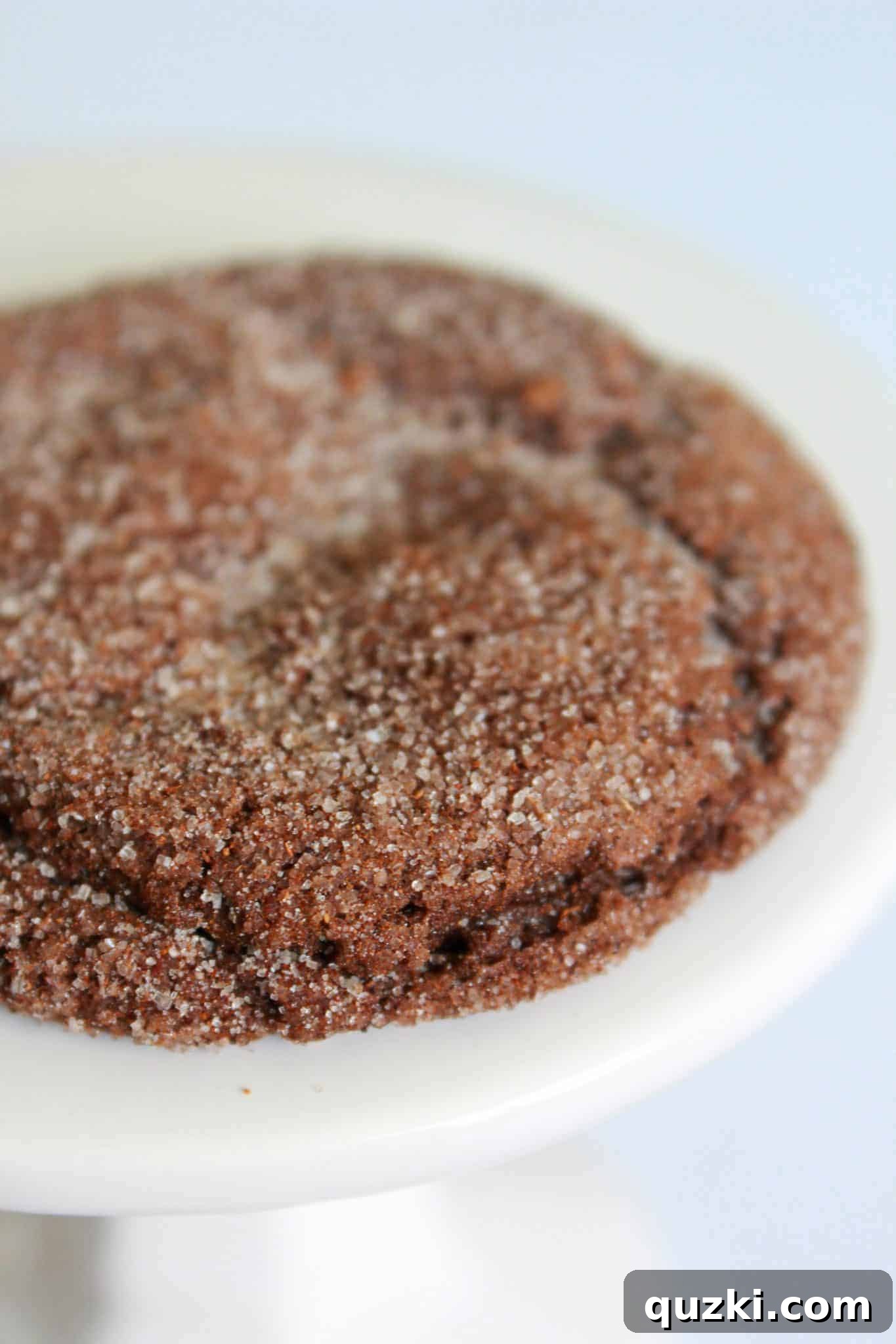 Rustic Pecan Shortbread Bars, a delicious fall cookie recipe inspired by pecan pie.