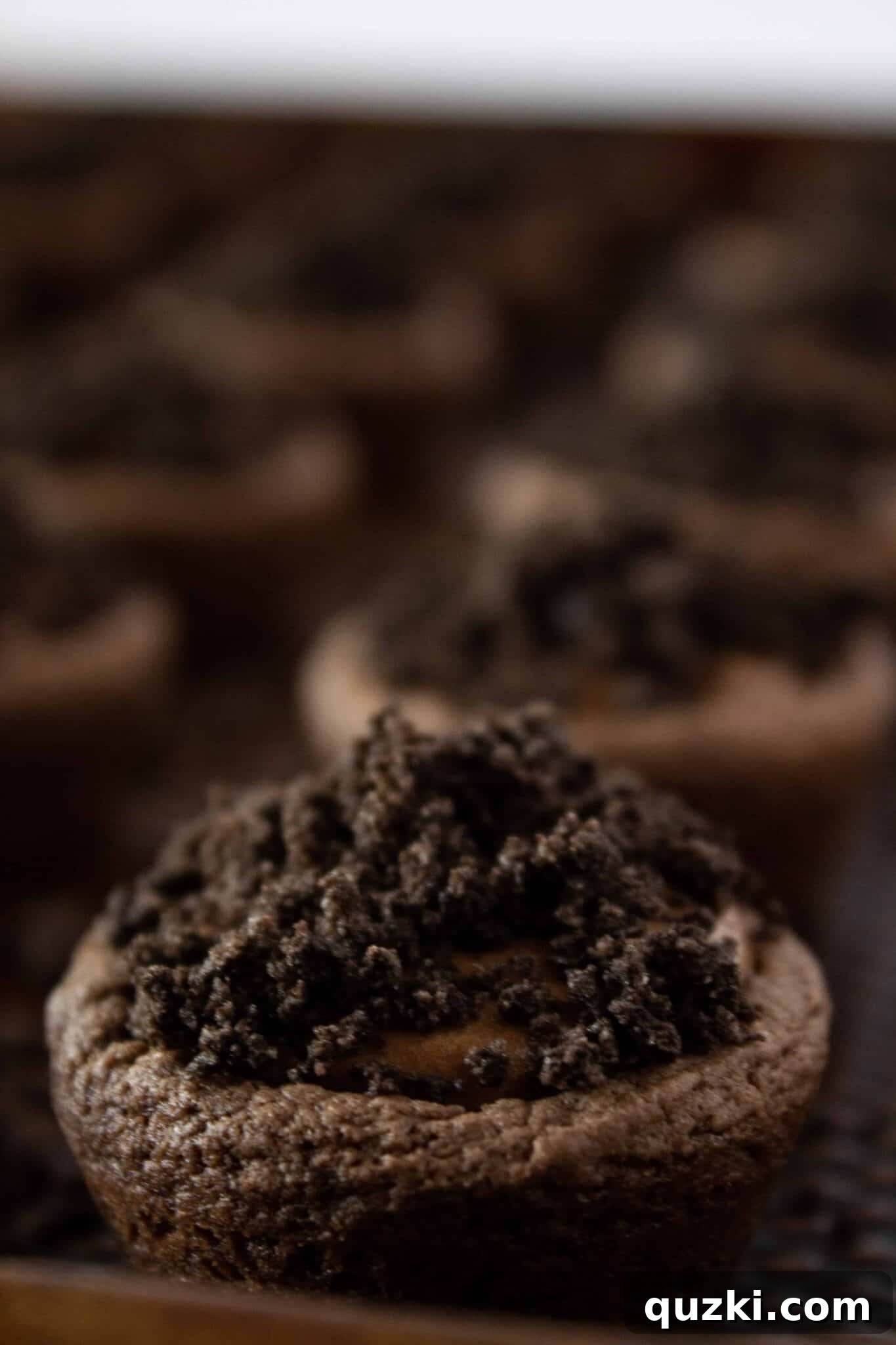 Garden Dirt Cookie Bites 11 The final layer: topping the rich chocolate pudding with finely crushed chocolate cookie crumbs to create a realistic 'dirt' effect.