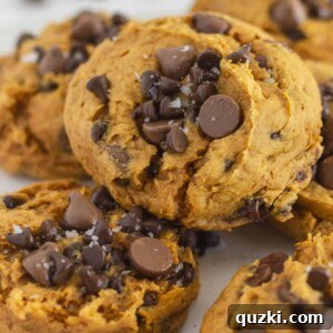 Pumpkin Chocolate Chip Cookies on a white plate.