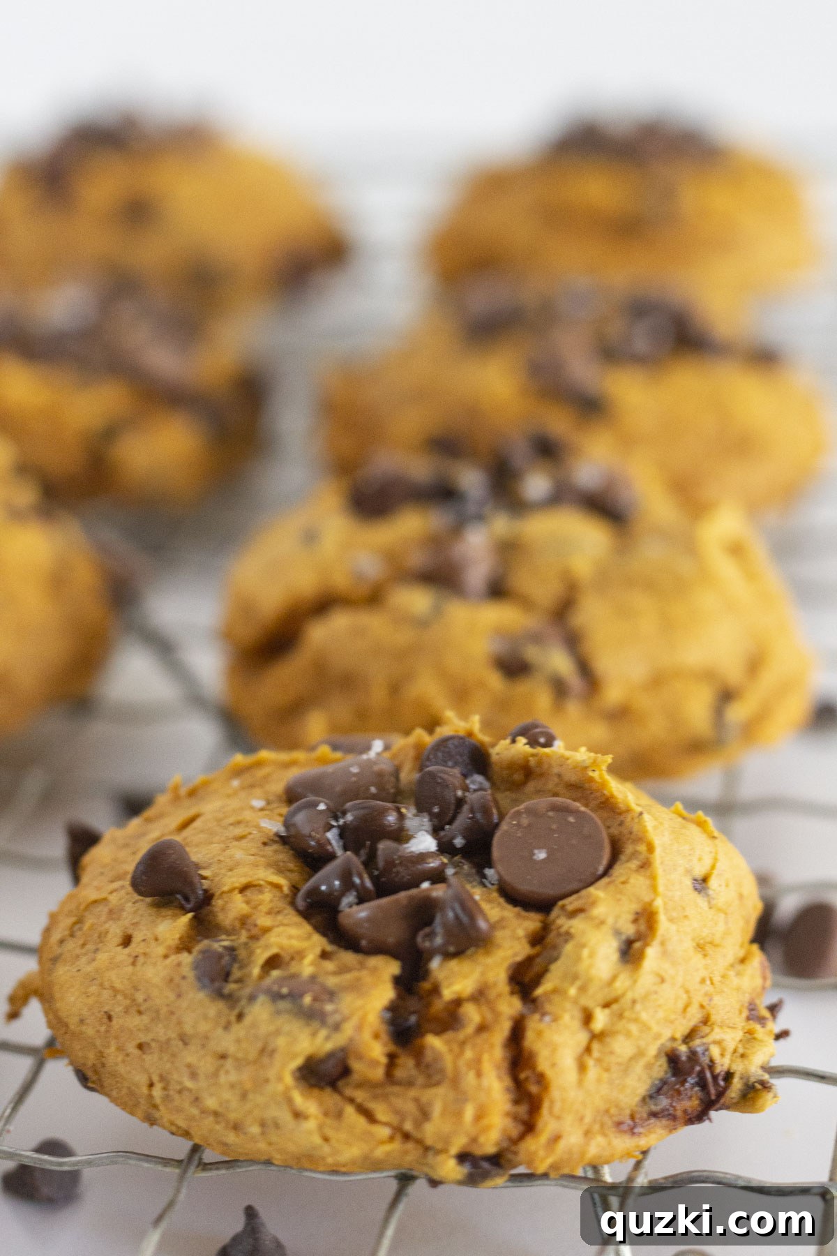 Effortless Cake Mix Pumpkin Chocolate Chip Cookies 7 Freshly baked Pumpkin Chocolate Chip Cookies cooling on a wire rack, steam gently rising.