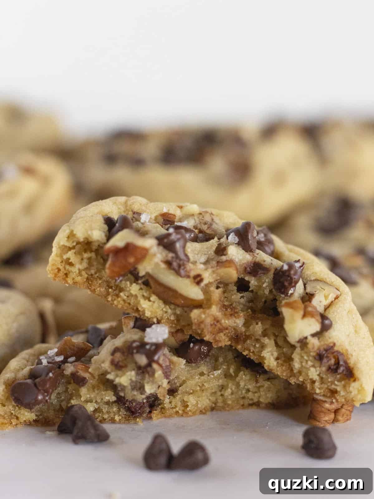 Artisan Chocolate Chip and Pecan Cookies 2 A close-up view of a freshly baked Chocolate Chip and Pecan Cookie, showing its soft interior and abundant chocolate chips and pecans.