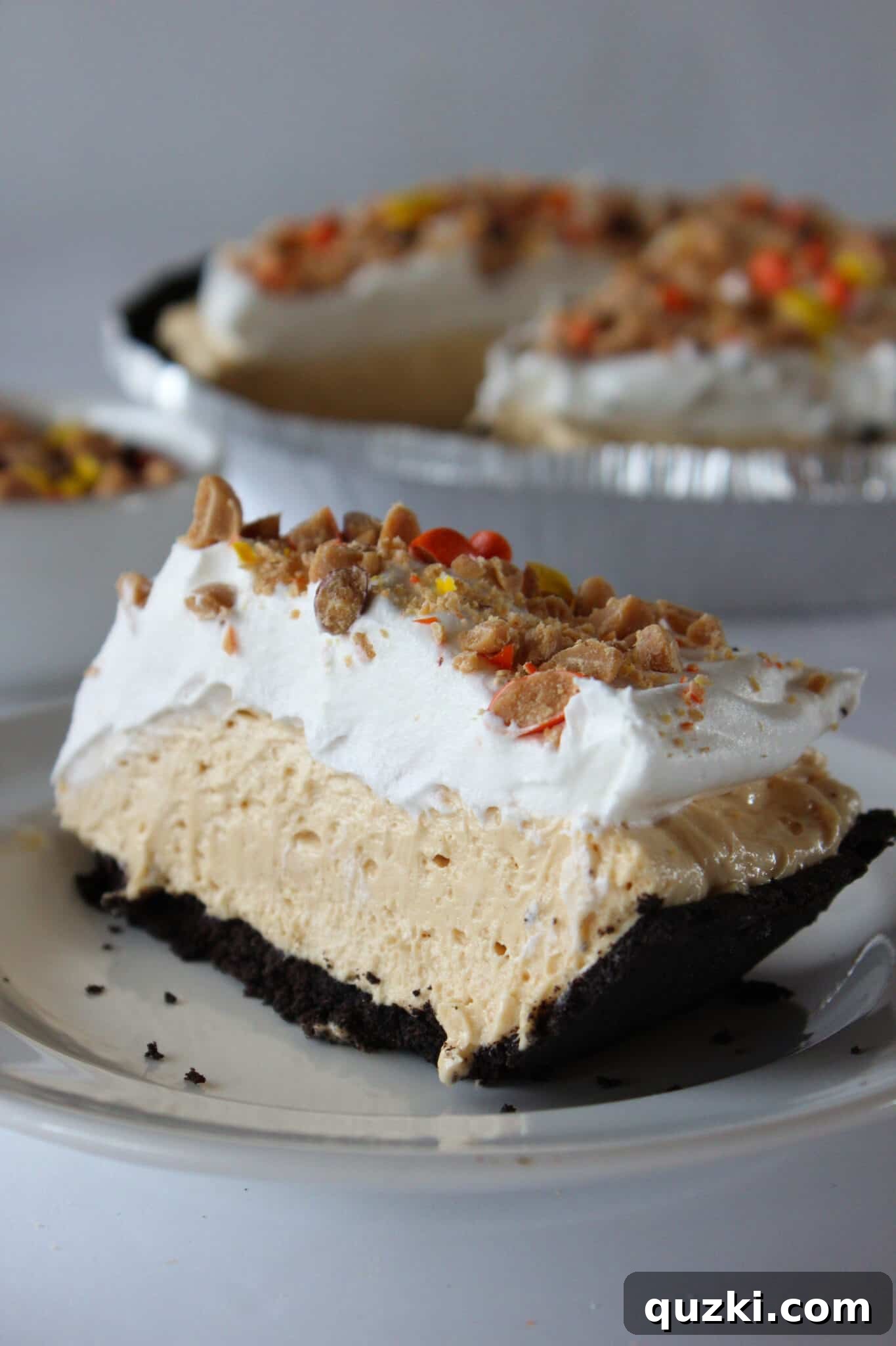 Rich and creamy No Bake Peanut Butter Pie, topped with whipped cream and chocolate shavings, featured by a top US dessert blogger.