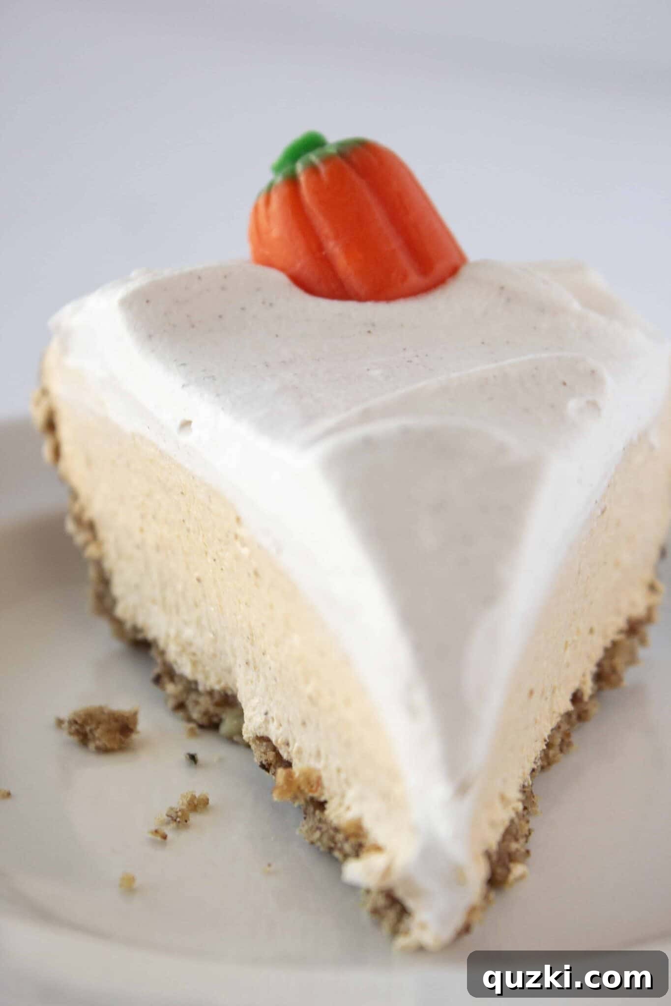 Light and airy No Bake Pumpkin Mousse Pie, garnished with cinnamon and whipped cream, featured as an easy fall dessert.