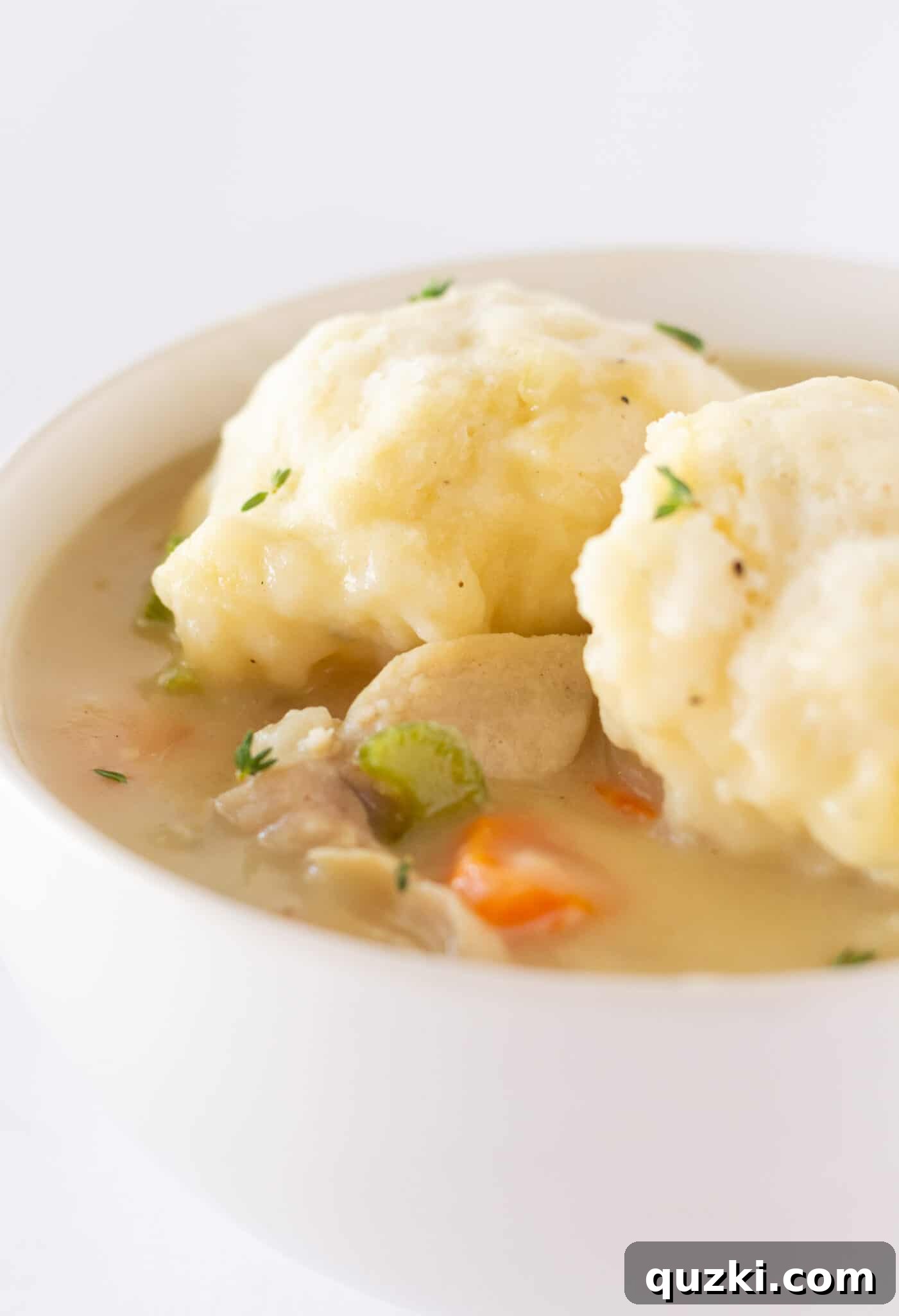 A comforting bowl of Easy Pancake Mix Turkey and Dumplings, featuring tender turkey pieces and fluffy dumplings.