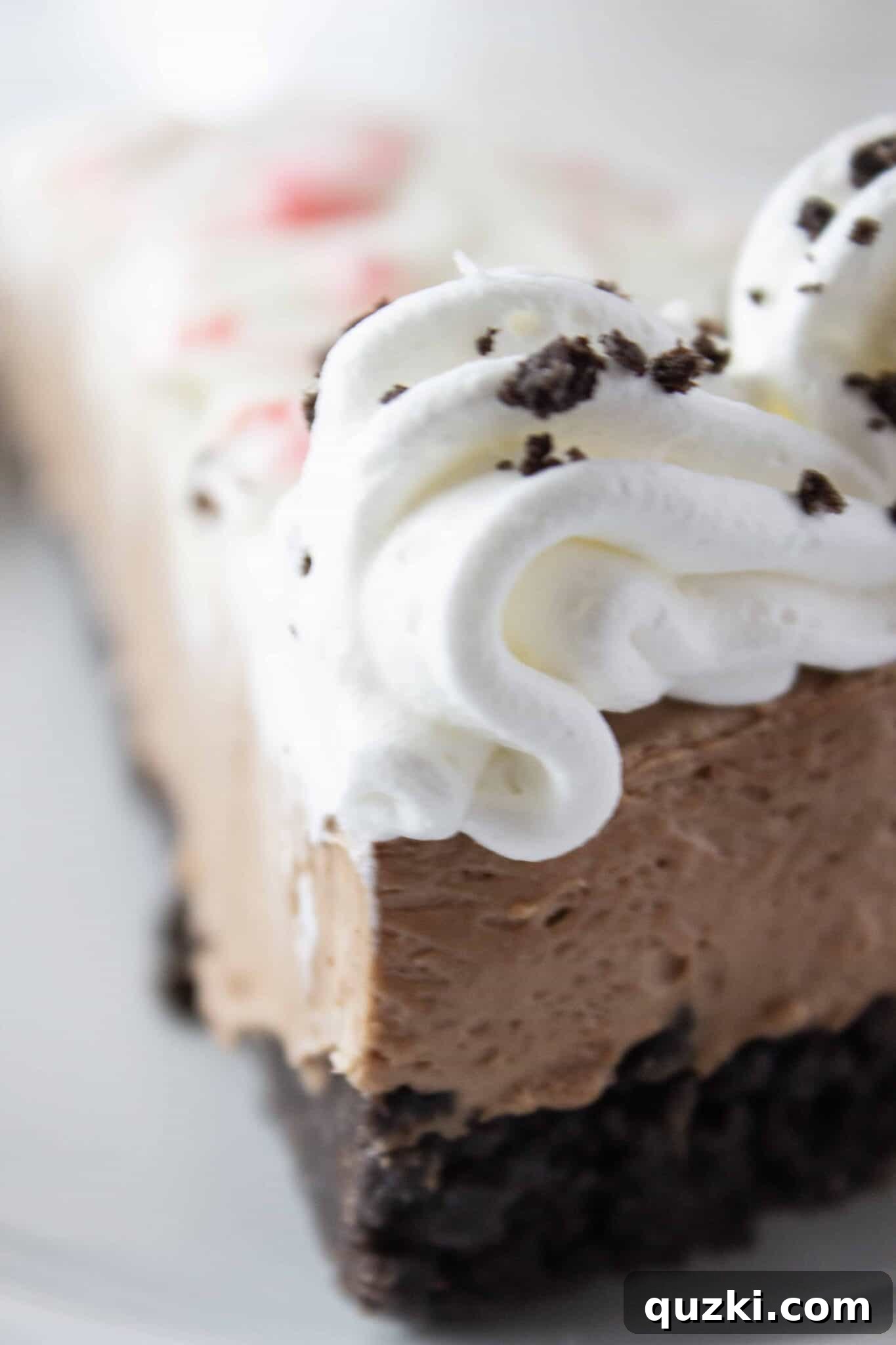 A close-up of a perfect slice of No Bake Peppermint Chocolate Cheesecake, showing its layered texture.