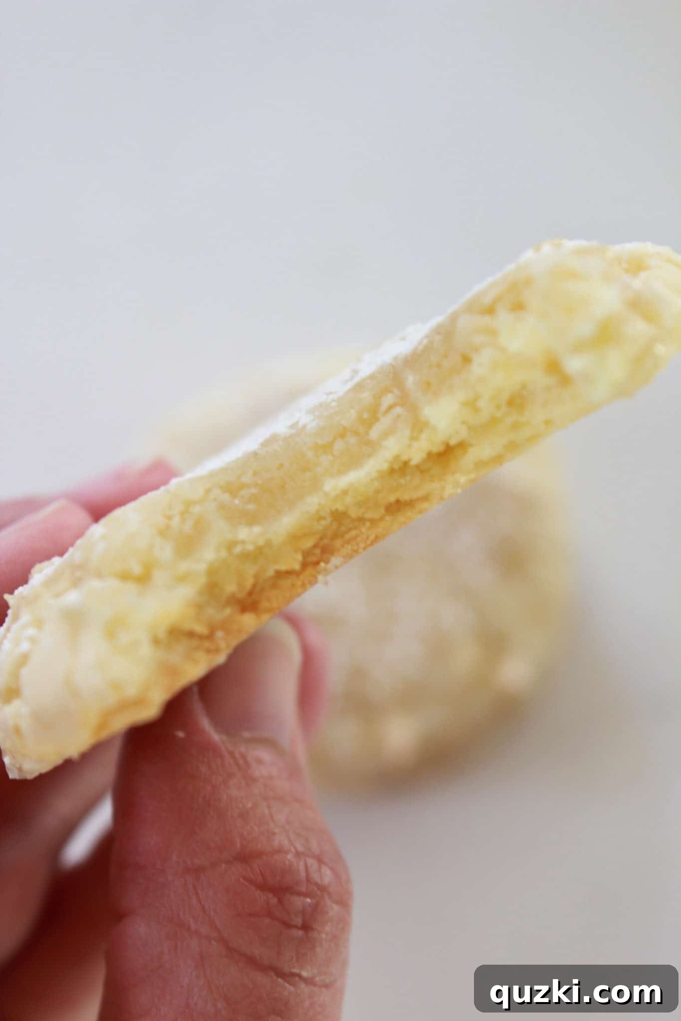 Kentucky Butter Cake Cookies with powdered sugar dusting