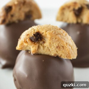 Easy Chocolate Chip Cookie Truffles