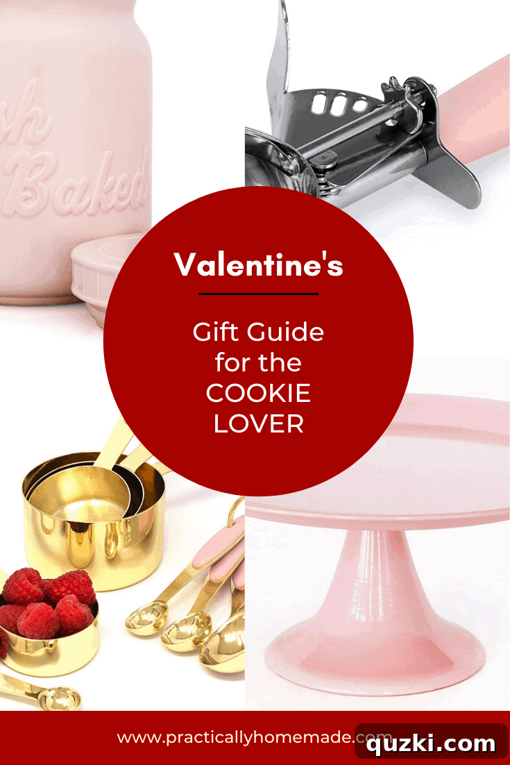 Valentines Cookie Delights for Your Love 2 Valentine's Day Gift Ideas for the Cookie Lover featured by top US cookie blogger, Practically Homemade