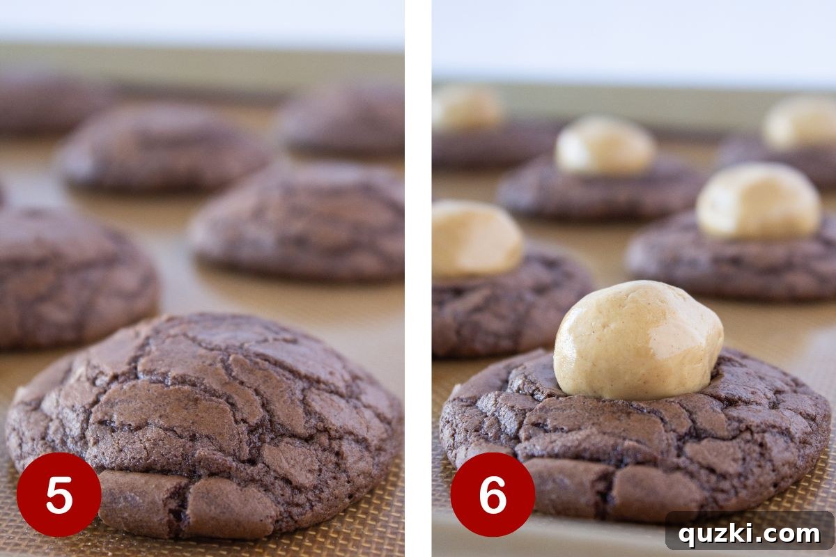 Simple Buckeye Brownie Indulgence 6 Step-by-step photos showing baked cookies being removed from the oven and peanut butter truffles placed onto them.