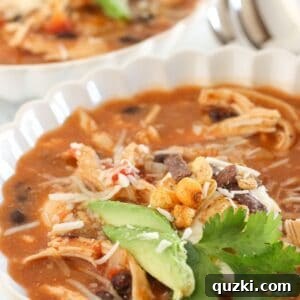 Effortless 20 Minute Chicken Enchilada Soup 9 A close-up of a perfectly garnished bowl of chicken enchilada soup, showcasing its rich texture and vibrant toppings.