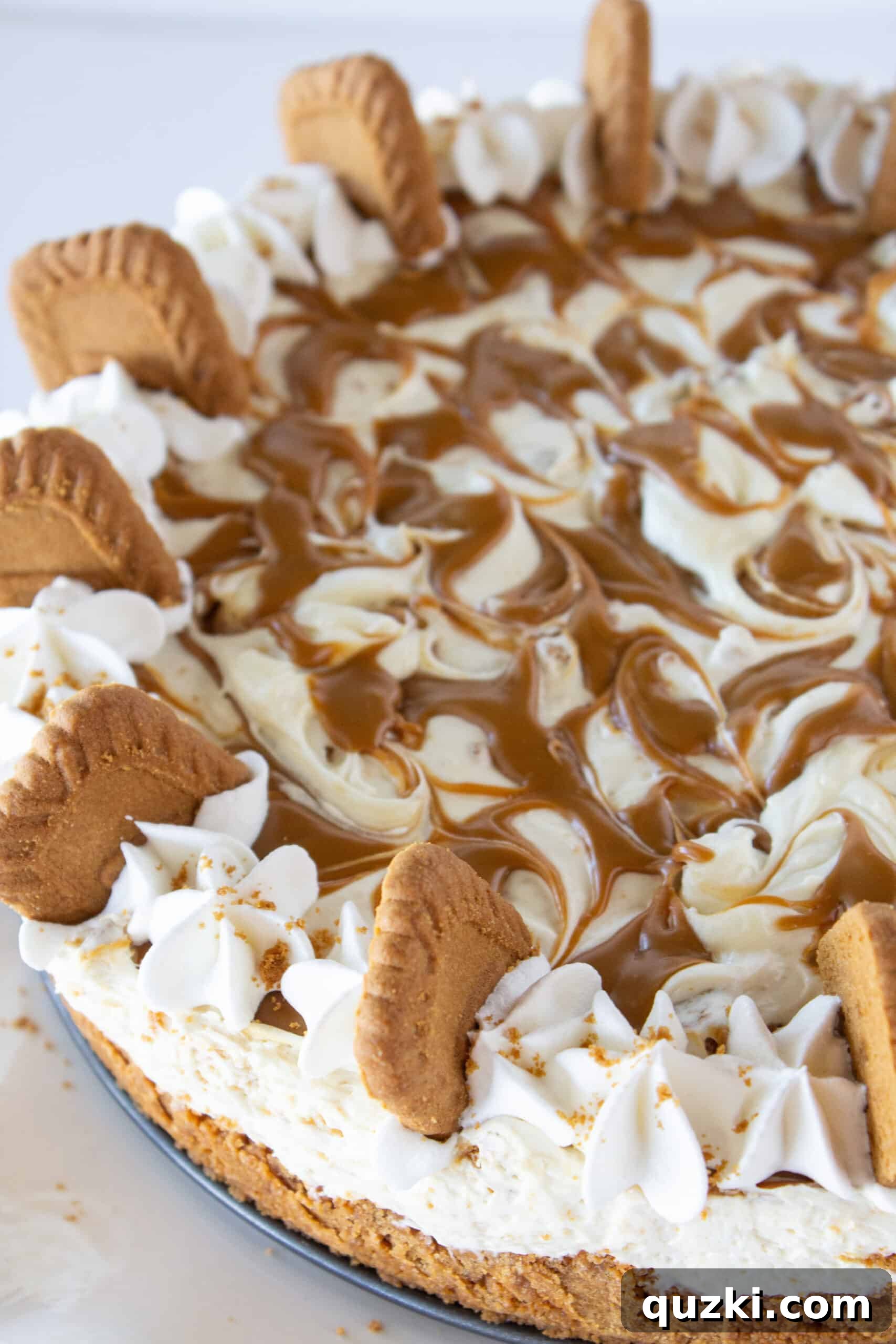 Decadent Cookie Butter No-Bake Cheesecake 2 Delicious Cookie Butter No Bake Cheesecake slices, ready to be served